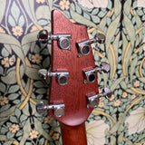 Breedlove Passport Concert