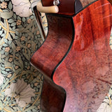 Breedlove Passport Concert