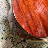 Breedlove Passport Concert