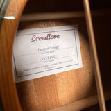 Breedlove Passport Concert