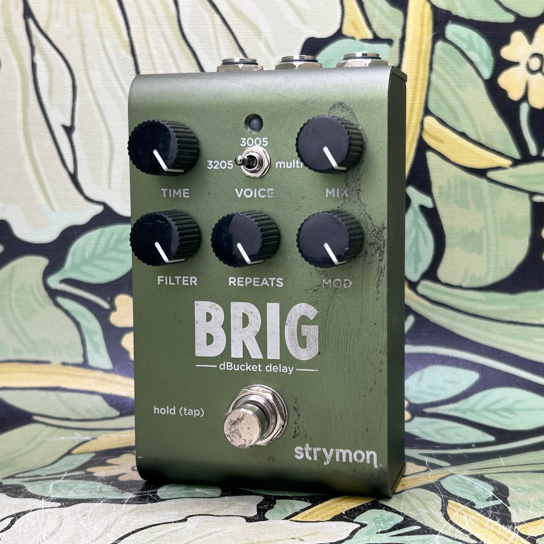 STRYMON ストライモン BRIG dBucket delay 美品 strymon BRIG【dBucket Delay】（ストライモン）ディレイ ｜イケベ楽器