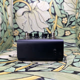 Strymon Iridium Amp Modeler & Impulse Response Cabinet - Used