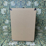 Ashdown Engineering Studio 15 Bass Combo Amp