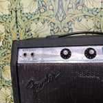 Fender Musicmaster Bass Amp 1980