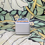 TC Electronic Wiretap Riff Recorder