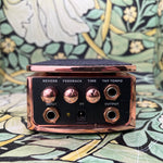 Ernie Ball Ambient Delay