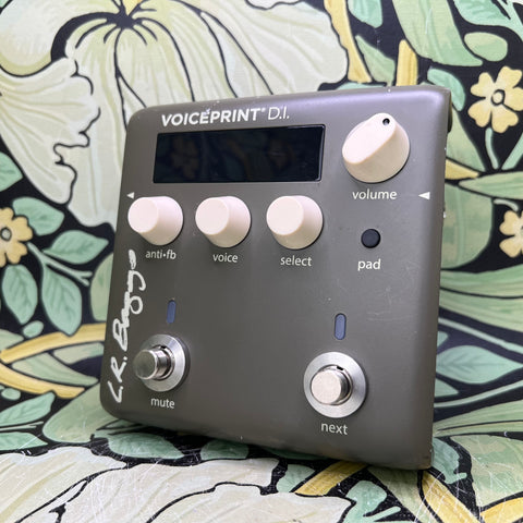 LR Baggs Voiceprint DI