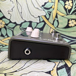 LR Baggs Voiceprint DI