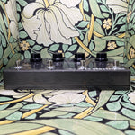 TC Electronic Ditto X4 Looper
