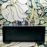 Aguilar Tone Hammer Bass Preamp/DI Box