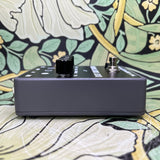 Trap Door Electronics Dot Dot Doom