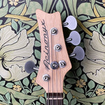 Nordstrand Acinonyx Short Scale Bass