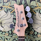 Nordstrand Acinonyx Short Scale Bass