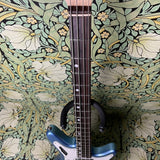 Nordstrand Acinonyx Short Scale Bass