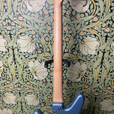 Nordstrand Acinonyx Short Scale Bass