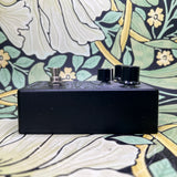 Earthquaker Devices Black Ash Endangered Fuzz