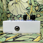 EarthQuaker Devices Ledges Tri-Dimensional Reverberation Machine - Crystal Glacier