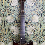 Jerrytone Custom Guitar
