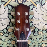 Jerrytone Custom Guitar