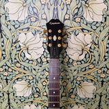Epiphone Dot Sunburst 2001