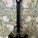 Epiphone Dot Sunburst 2001