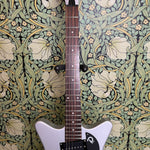 Danelectro 59XT Silver 2024
