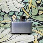 Electro-Harmonix Holy Grail Nano