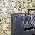 Ampeg ET-2 Super Echo Twin