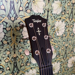 Taylor Builders Edition 517 Wild Honey Burst 2018