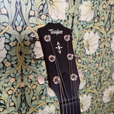 Taylor Builders Edition 517 Wild Honey Burst 2018