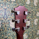 Taylor Builders Edition 517 Wild Honey Burst 2018