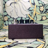 Asheville Music Tools ACV-1 Time Warping Chorus & Vibrato - Used