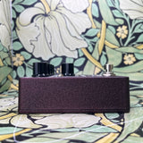 Asheville Music Tools ACV-1 Time Warping Chorus & Vibrato - Used