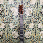 Banker Guitars Redtail Natural Redwood 2022