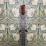 Banker Guitars Redtail Natural Redwood 2022