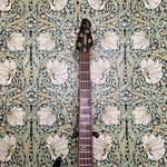 Peavey Cirrus Sunburst 5-string Bass 1995