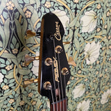 Peavey Cirrus Sunburst 5-string Bass 1995