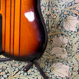 Peavey Cirrus Sunburst 5-string Bass 1995
