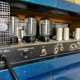 Earth Sound Research Super Guitar G-2000 1972 Blue with G-25 2x15 Cab