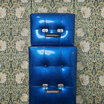 Earth Sound Research Super Guitar G-2000 1972 Blue with G-25 2x15 Cab