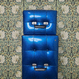 Earth Sound Research Super Guitar G-2000 1972 Blue with G-25 2x15 Cab