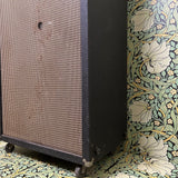 Sunn / Dale Amps Modified "Model D" 60w Amp Head + Sunn 2x15 Cabinet