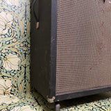Sunn / Dale Amps Modified "Model D" 60w Amp Head + Sunn 2x15 Cabinet