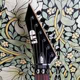 ESP LTD MG-750 Transparent Black