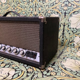 Sunn / Dale Amps Modified "Model D" 60w Amp Head + Sunn 2x15 Cabinet