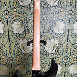 ESP LTD MG-750 Transparent Black
