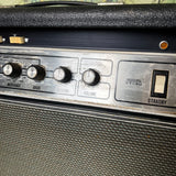 Ampeg VT-40