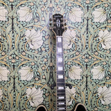 Epiphone Shinichi Ukubata ES-335 Ebony