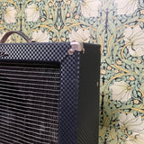Ampeg R-12R Reverberocket Reissue