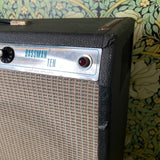 Fender Bassman Ten Combo 1978